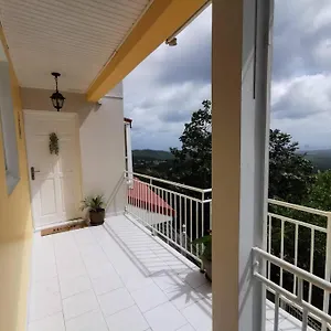 Nid D'aigle Tropical , Riviere-Salee Martinique